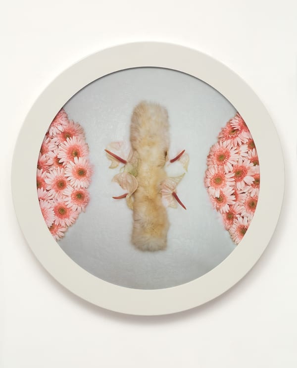 Helen CHADWICK, Wreath to Pleasure No 8, 1992-1993