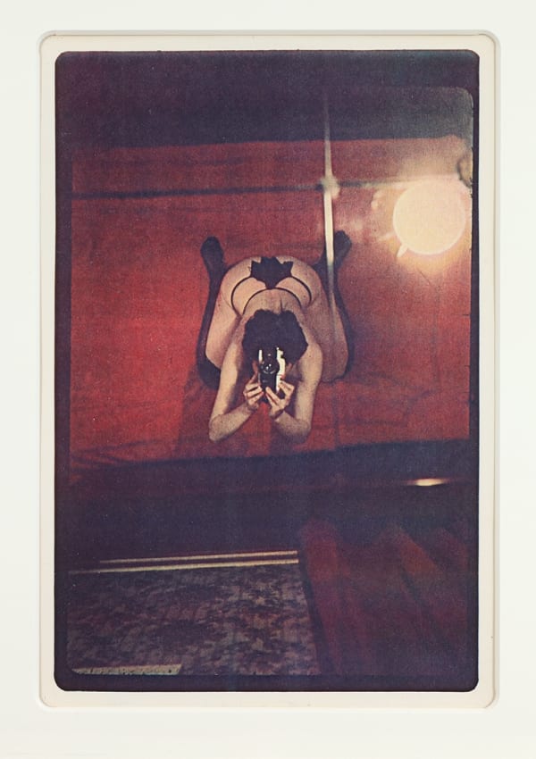 Friedl KUBELKA, Pin-Up, 1973-74