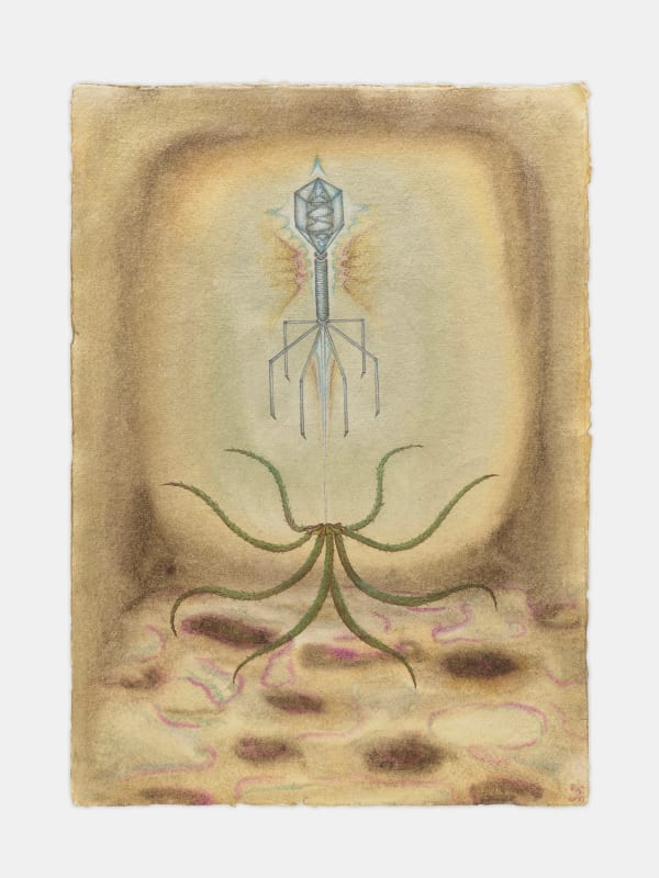 Qian Qian, Cindy in Red, 2023