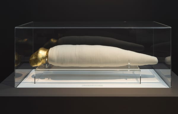 Renate BERTLMANN, Corpus Impudicum Arte Domitum (Impudicus Body Tamed by Art), 1984