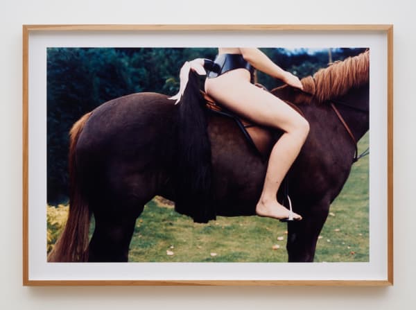 Rose ENGLISH, Rose on Horseback with Tail, 1974/2012