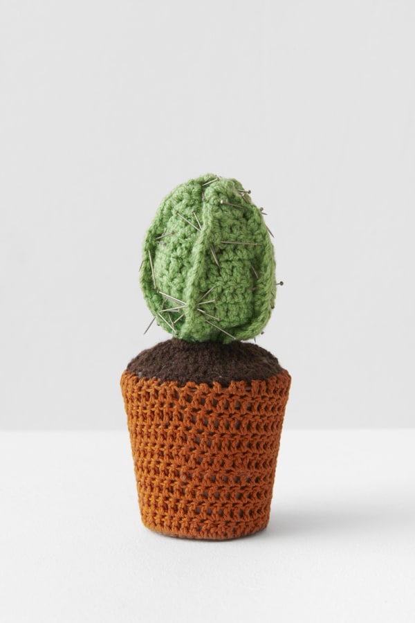 Su RICHARDSON, Potted Thoughts, Crisseteus Prikum- Pin Cushion Plant, 1976