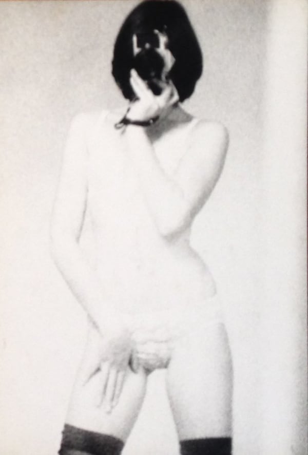 Friedl KUBELKA, Pin-up, 1971