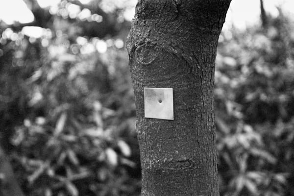 Ed HERRING, Zinc-plated wood, 1969