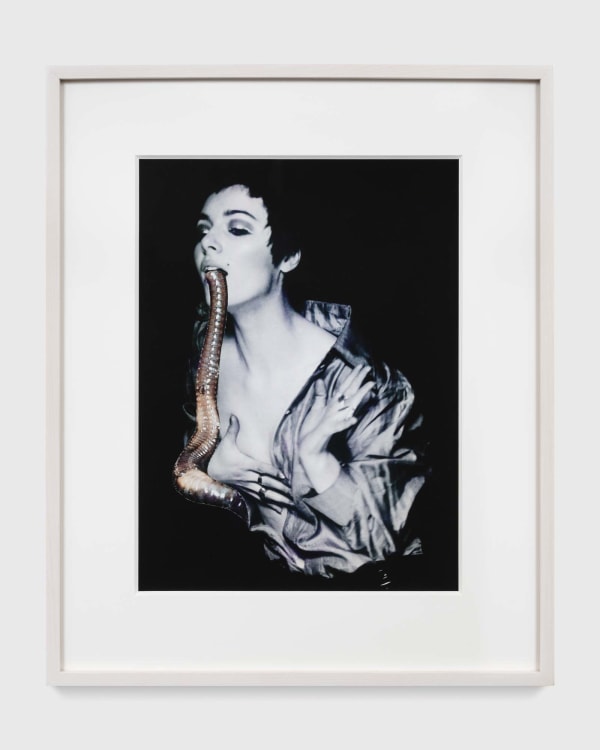 Penny SLINGER, The Larval Worm, 1969/2014