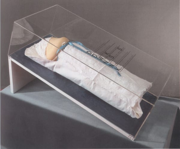 Renate BERTLMANN, Der Erstgeborene (The Firstborn), 1980