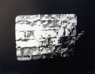 Tony MORGAN Munich Wall, 1969 screenprint 65 x 50 cm Edition 23/75