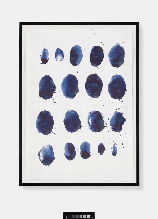 Simryn GILL, Gmund-Let them eat potatoes, 2014/2015