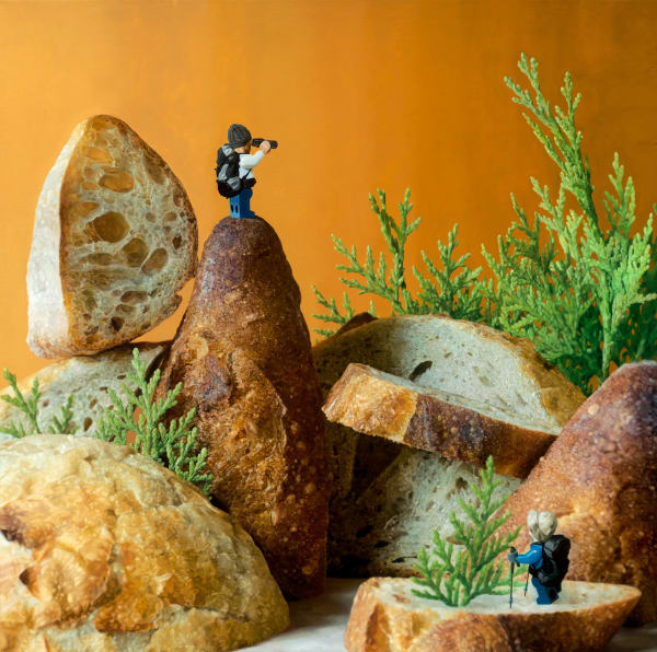 Foodscape Series