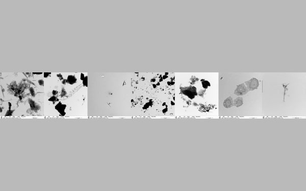 Arwa Alneami, Serendipity, 2024