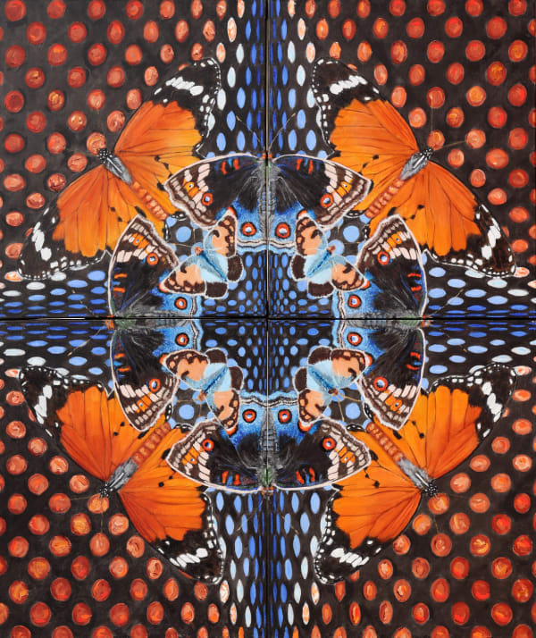 Adrian Scicluna, African Queen Monarch, Blue Pansy, Blue Spotted Arab, 2021