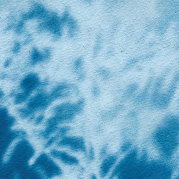 Maitha Al Omaira, Do trees become fluid in the wind? Edition of 4, 2024