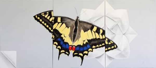 Adrian Scicluna, Swallowtail, 2018