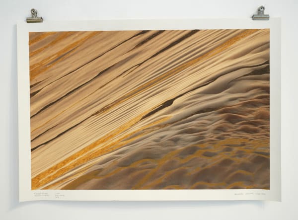 Andreas Valentin, Tradewinds: Desert‹-›Forest, 2023/2025