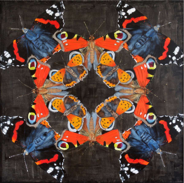 Adrian Scicluna, Red Admiral, Peacock, Small Copper, 2019