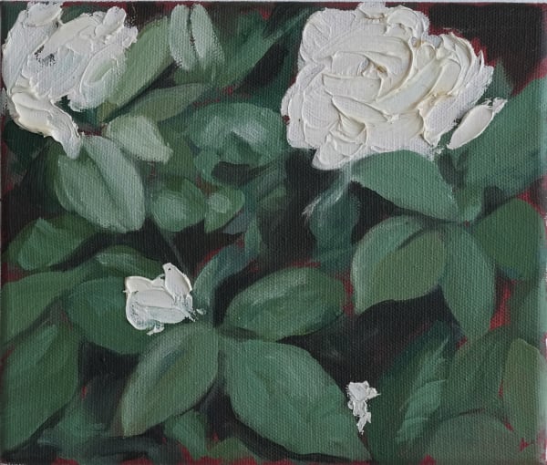 Zahra Shafie, Untitled From “Infertile Fields” Series,, 2018