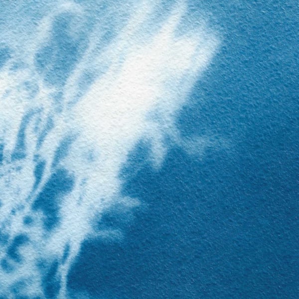 Maitha Al Omaira, Do trees become fluid in the wind? , Edition of 4, 2024