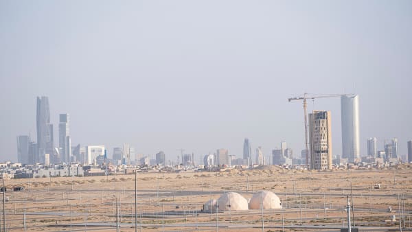 Arwa Alneami, Faidah, 2024