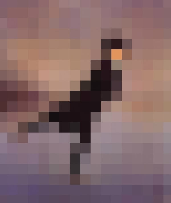 Rob and Nick Carter, 1790, Pixelated Painting, 2013