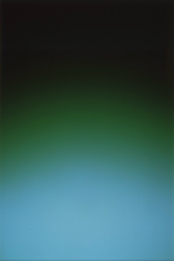 Rob and Nick Carter, Through Dark Green, 2007