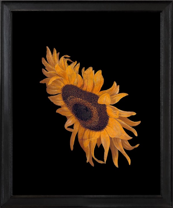 Rob and Nick Carter, Sunflower after Maria van Oosterwijck, 2024