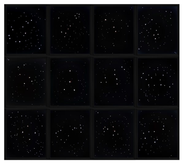 Rob and Nick Carter, 12 Diamond Photograms, 2011