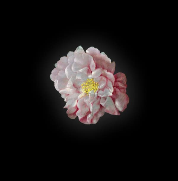 Dutch Golden Age Still Life Paintings