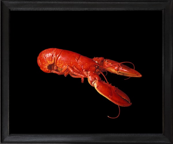 Rob and Nick Carter, Lobster after Jan Davidsz de Heem, 2024
