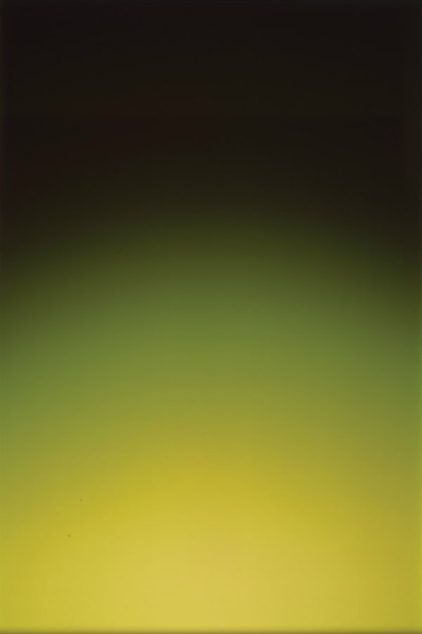 Rob and Nick Carter, Through Jas Green, 2007