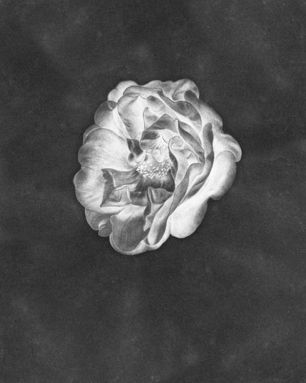 Rob and Nick Carter, Positive, Negative, Painting Photograph, 2016