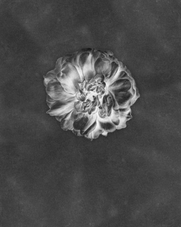 Rob and Nick Carter, Positive, Negative, Painting Photograph, 2016