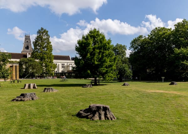 Bronze Oak Grove
