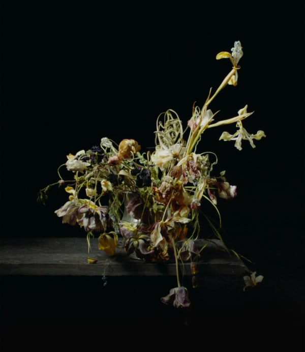 Rob and Nick Carter, Transforming Flowers in a Vase, 2016