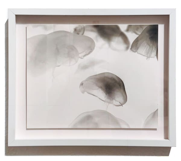 Ashley Oubre, Untitled (Jellyfish), 2017