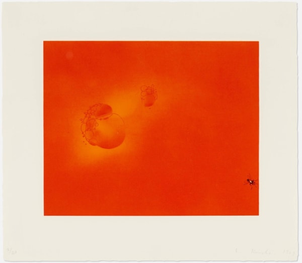 Ed Ruscha, Boiling Blood, Fly, 1969