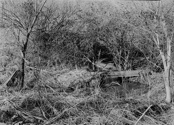 Lois Conner, Brandywine River Valley, Pennsylvania , 1974