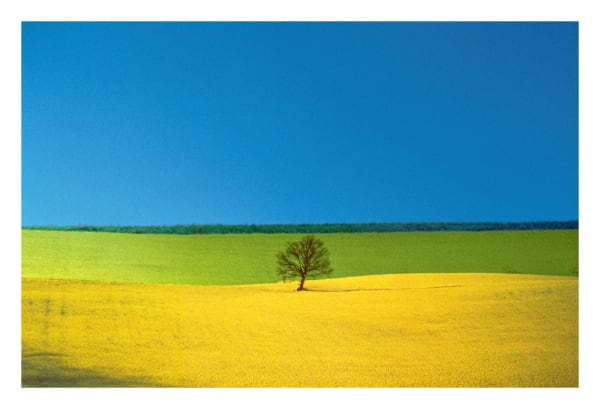 Franco Fontana, Puglia, 1987