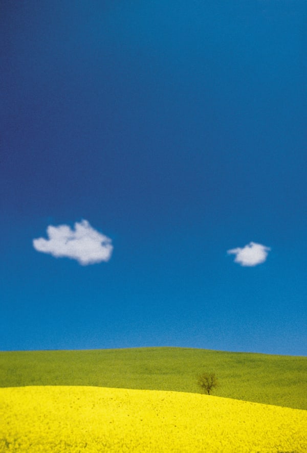 Franco Fontana, Basilicata, 1987