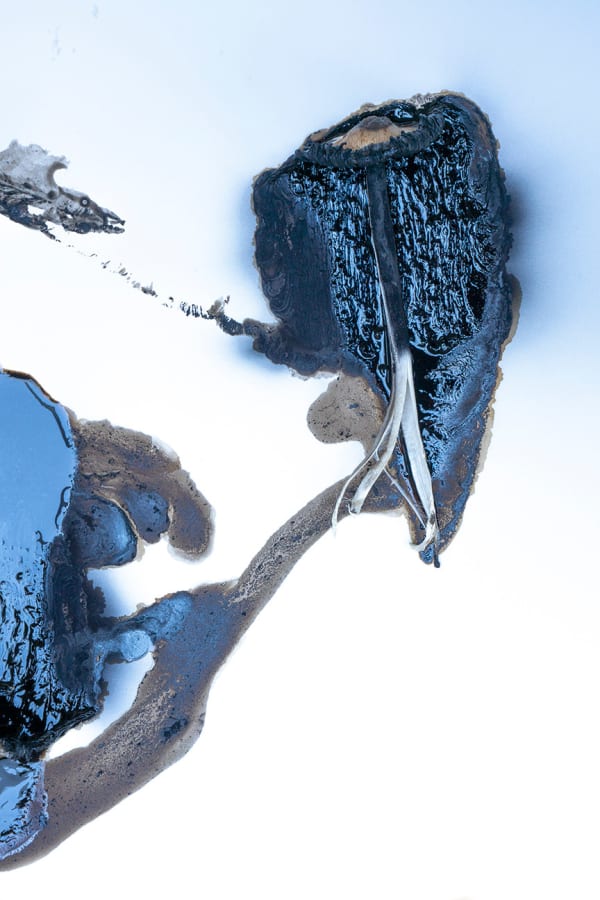 Olivia Parker, Persephone's Graffiti Ink 8, 2019