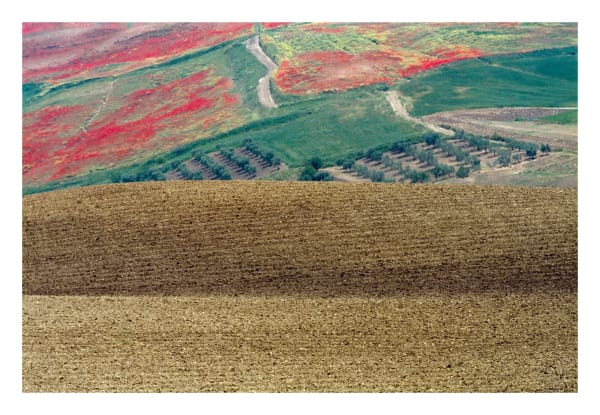Franco Fontana, Puglia 1978