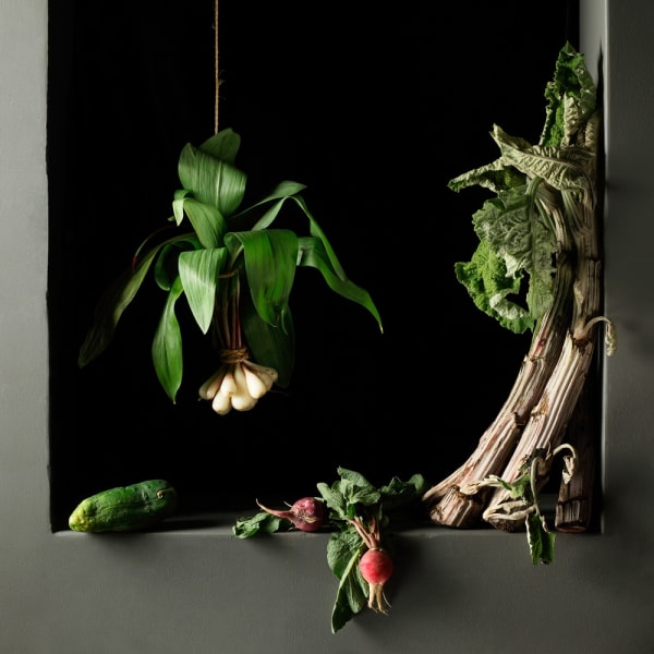 Paulette Tavormina, Cardoon and Radishes, After J.S.C.