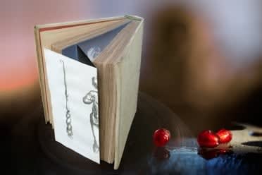 Olivia Parker, White Book - Persephone, 2004