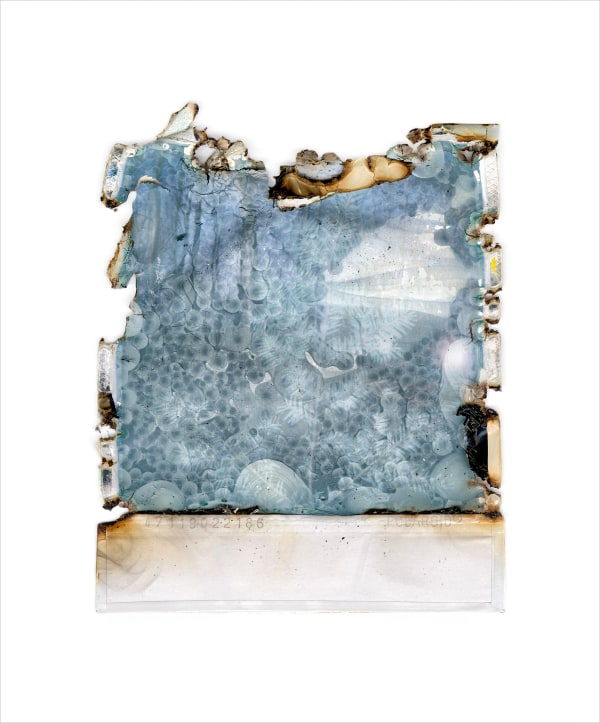 Gohar Dashti, Disappearing Nature #6, 2022