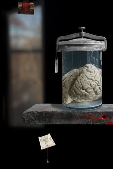 Olivia Parker, The Murderer's Brain, 2010