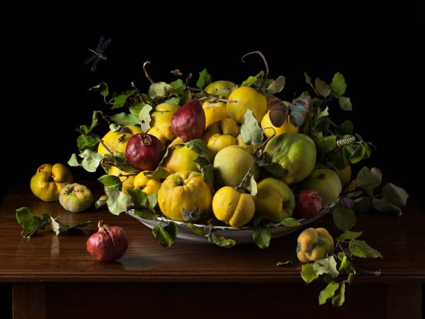 Paulette Tavormina, Orchard Quince, 2020