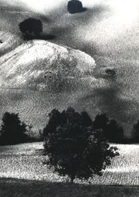 Mario Giacomelli, Paesaggio 14, 1958