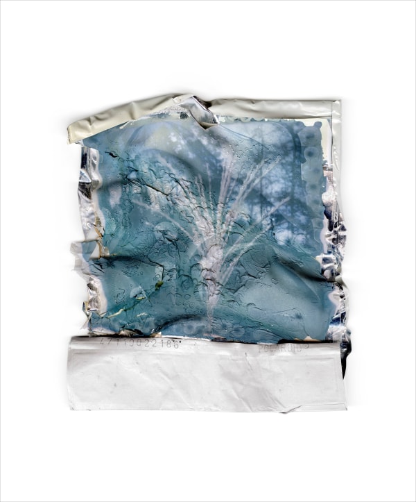 Gohar Dashti, Disappearing Nature #11, 2022