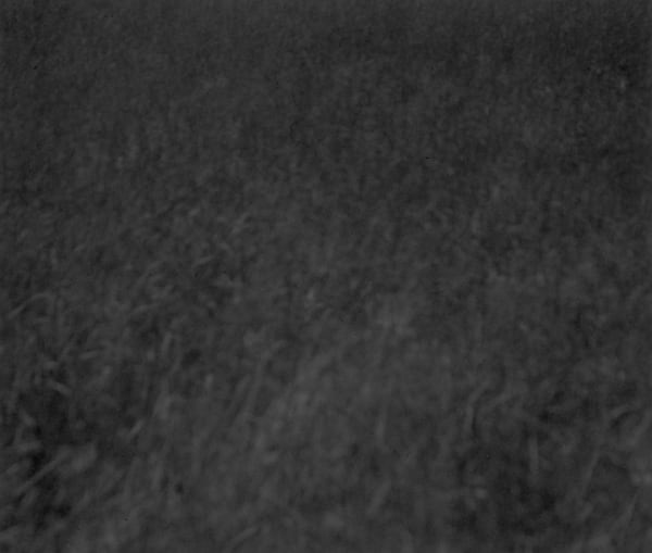 Bill Jacobson, Thought Series #2149, 1996