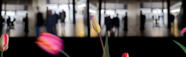 Olivia Parker, Passing, 2011