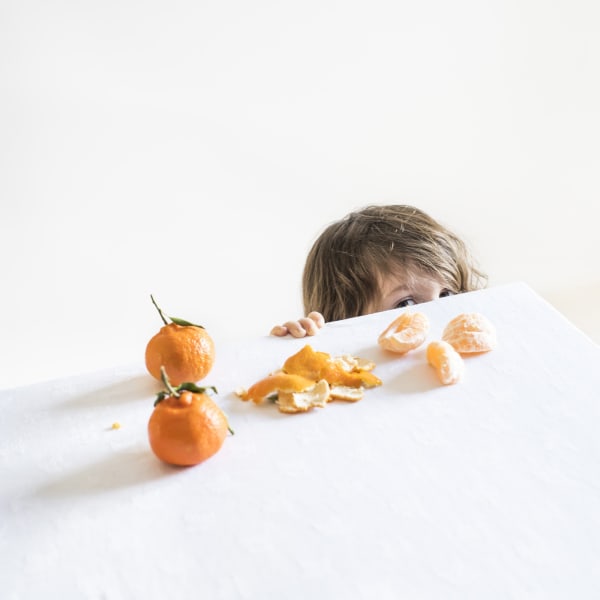 Cig Harvey, Scout & the Clementines, 2015